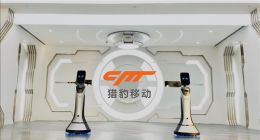 獵豹移動發(fā)布2020年Q1財報：營收5.28億元