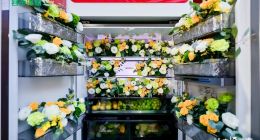 讓幸福發(fā)生，容聲606WILL養(yǎng)鮮冰箱重磅登場