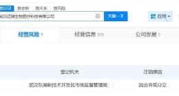 邁瑞醫療旗下武漢公司擬注銷
